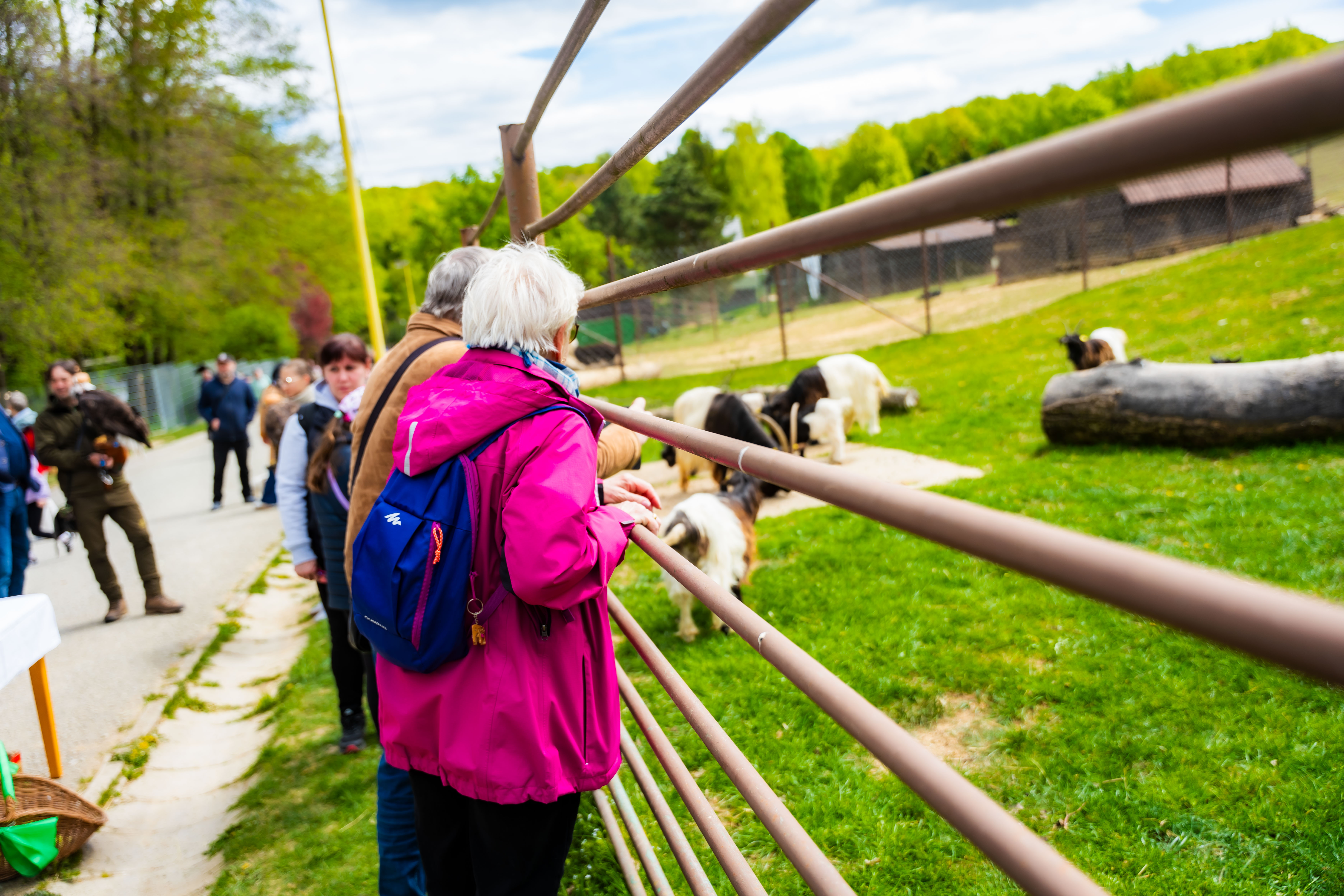 Slavnostne odomykanie vrany ZOO Kosice-1-58